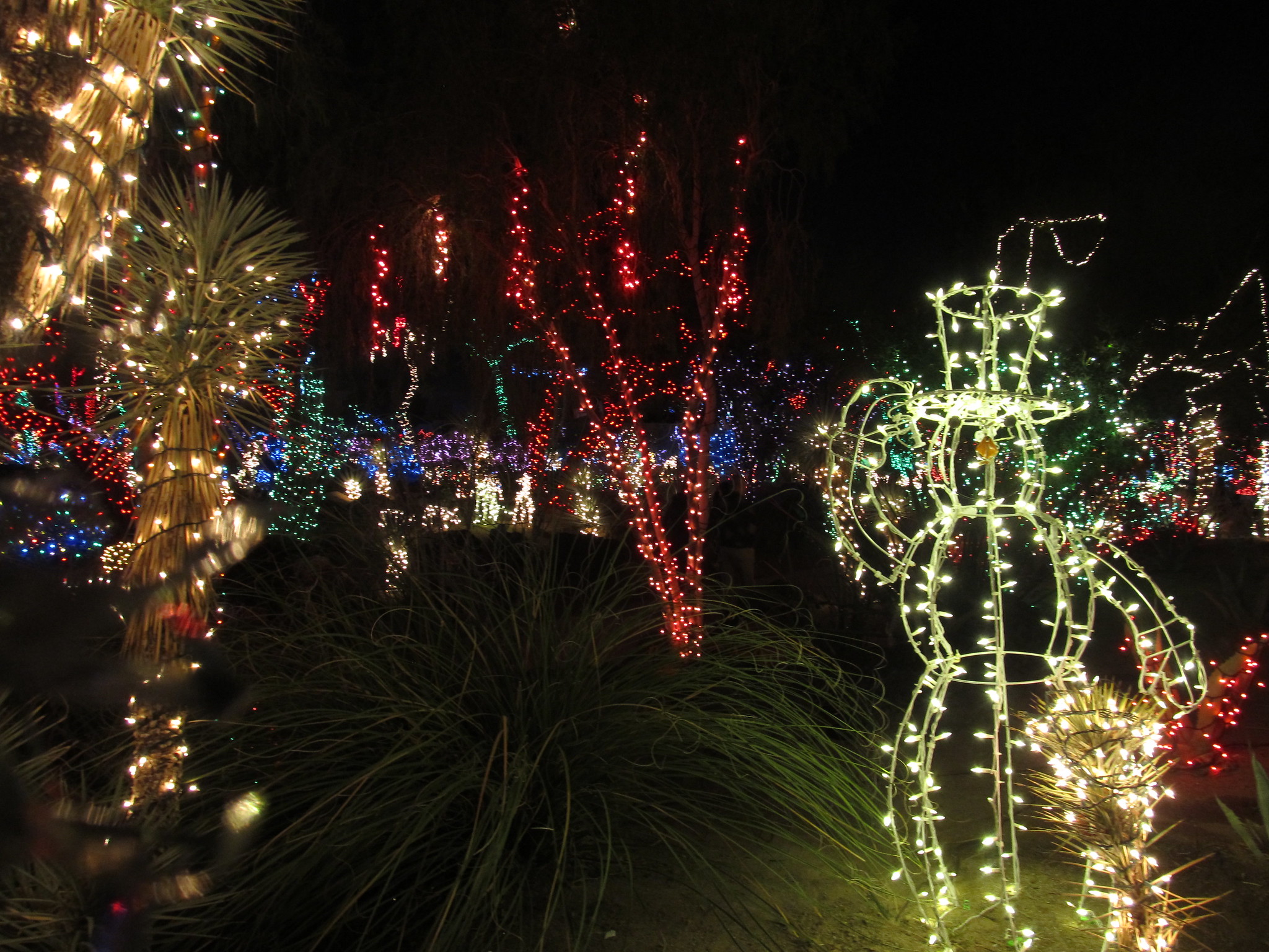 Explore the Magic of Christmas in Butchart Gardens!