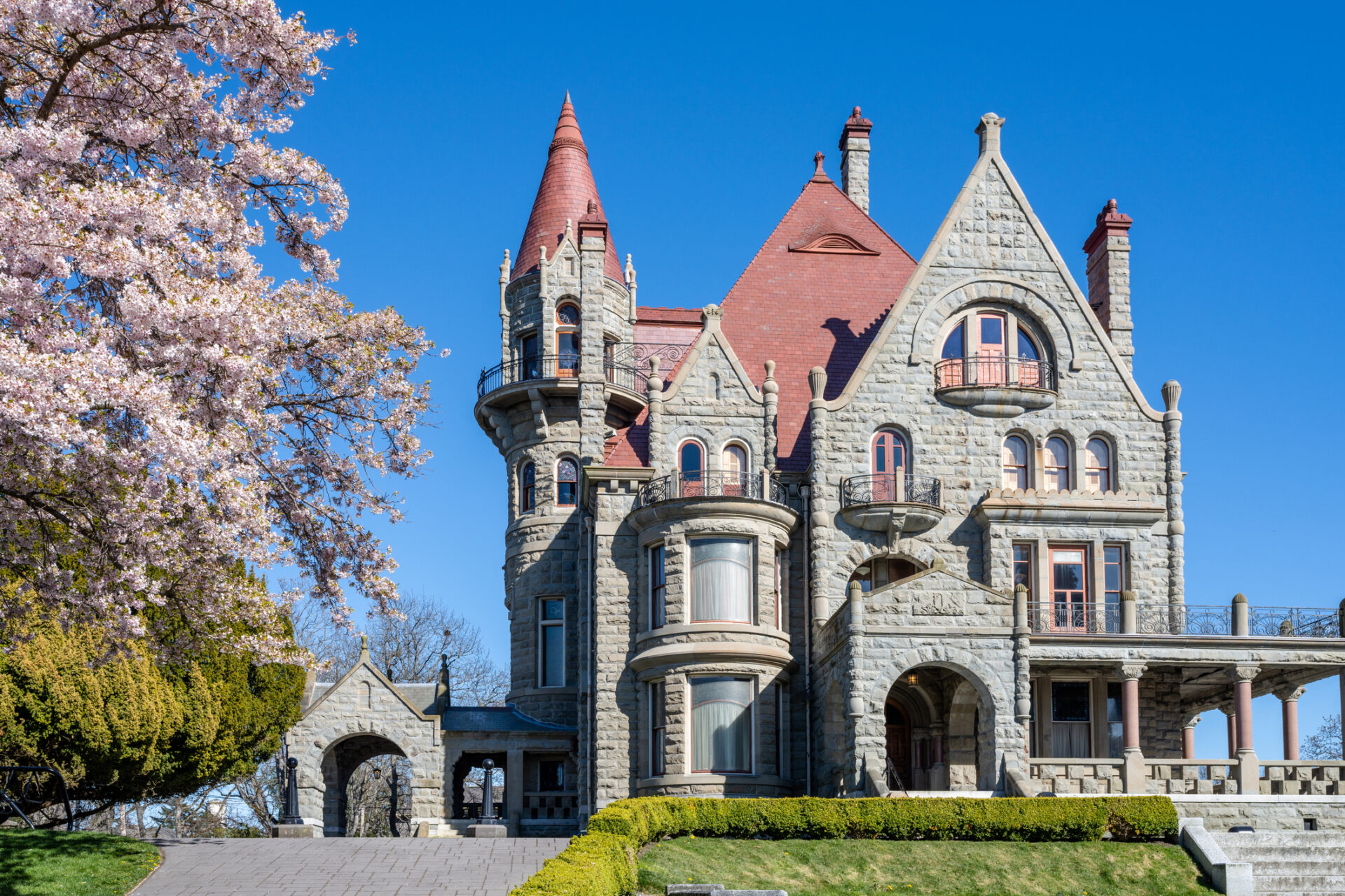 Craigdarroch Castle exterior with full bloom cherry blossom during springtime season. Victoria, BC, Canada.