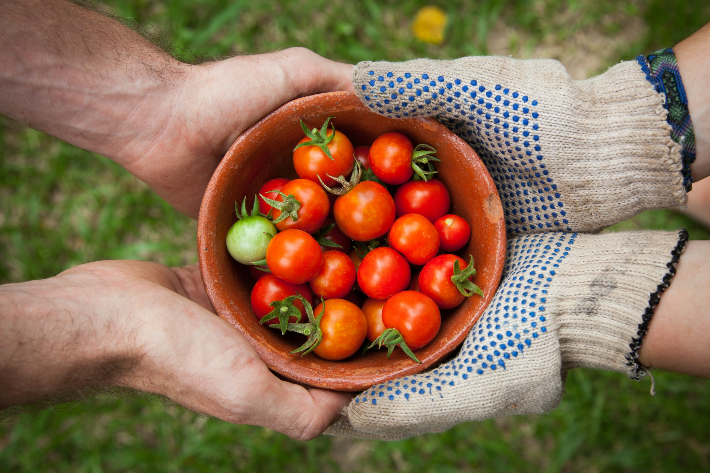 Two-Step Guide to Using All That You’ve Grown